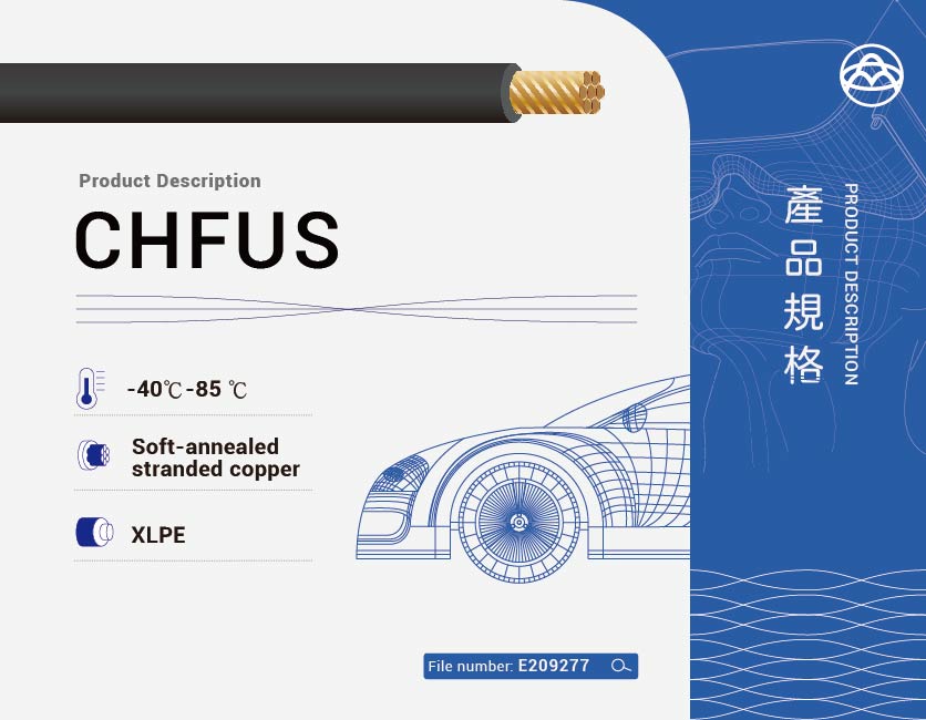 輪播圖 CHFUS